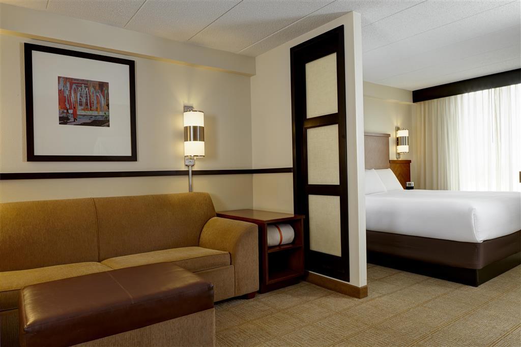 Hyatt Place Atlanta/Cobb Galleria Smyrna Room photo